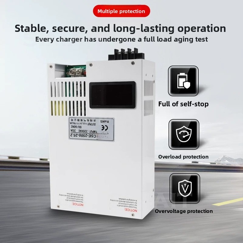 3000W LiFePO4 Battery Charger  - Lithium Battery 12V review and price